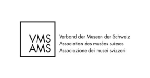 Logo VMS - AMS